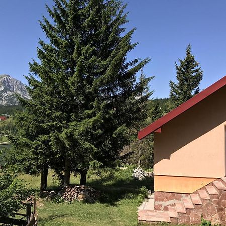 Durmitor Apartments Holiday Žabljak Exterior foto